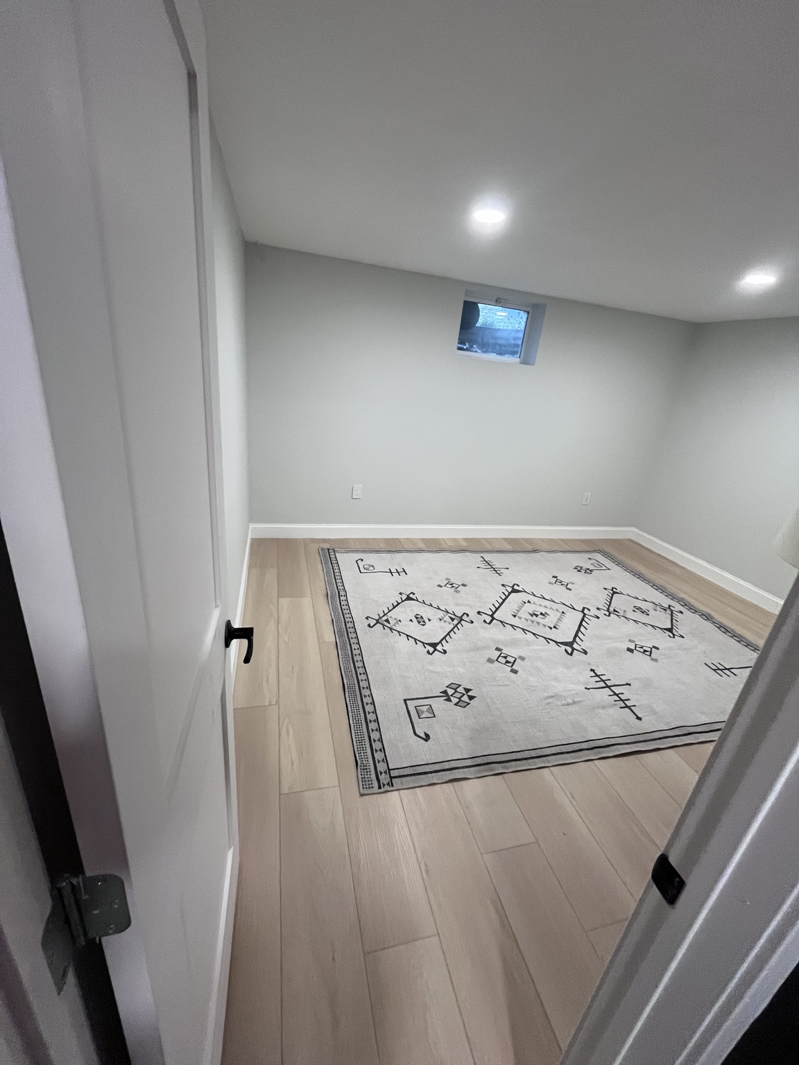 Finished Basement Room